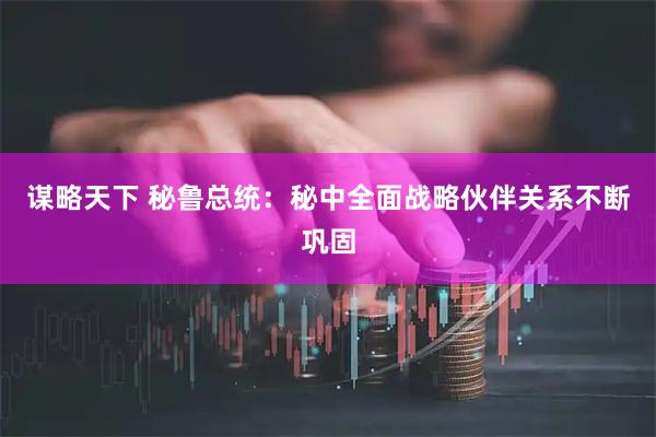 谋略天下 秘鲁总统:秘中全面战略伙伴关系不断巩固