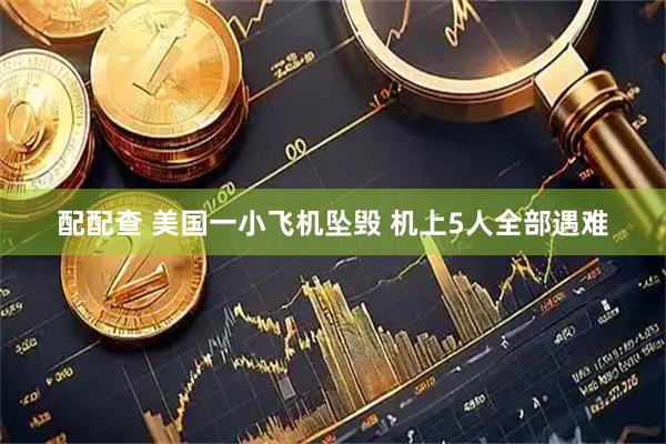 配配查 美国一小飞机坠毁 机上5人全部遇难